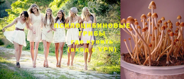 MDMA Premium VHQ Алзамай